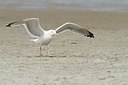 BUITEN BEELD Foto: 166533