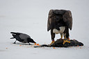 BUITEN BEELD Foto: 166659
