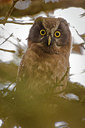 BUITEN BEELD Foto: 166677