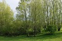 BUITEN BEELD Foto: 166818