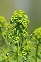 BUITEN BEELD Foto: 166874