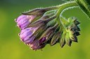BUITEN BEELD Foto: 166888