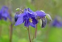 BUITEN BEELD Foto: 166909