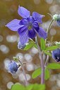 BUITEN BEELD Foto: 166914