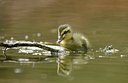 BUITEN BEELD Foto: 166969