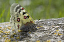 BUITEN BEELD Foto: 166995