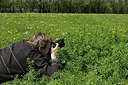 BUITEN BEELD Foto: 167068