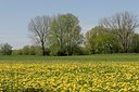 BUITEN BEELD Foto: 167071