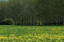 BUITEN BEELD Foto: 167080