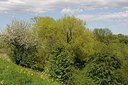 BUITEN BEELD Foto: 167089