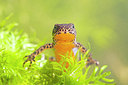 BUITEN BEELD Foto: 167202
