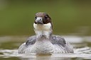 BUITEN BEELD Foto: 167281
