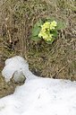 BUITEN BEELD Foto: 167412