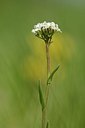 BUITEN BEELD Foto: 167458