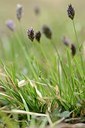 BUITEN BEELD Foto: 167467
