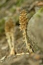 BUITEN BEELD Foto: 167479