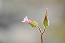 BUITEN BEELD Foto: 167482