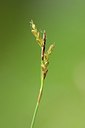 BUITEN BEELD Foto: 167511
