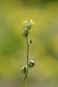 BUITEN BEELD Foto: 167529