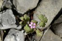 BUITEN BEELD Foto: 167569