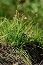 BUITEN BEELD Foto: 167574