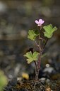 BUITEN BEELD Foto: 167578