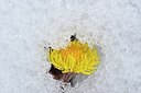 BUITEN BEELD Foto: 167605