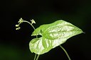 BUITEN BEELD Foto: 167629