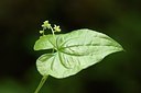 BUITEN BEELD Foto: 167632