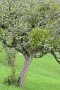 BUITEN BEELD Foto: 167651