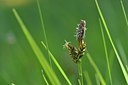 BUITEN BEELD Foto: 167663