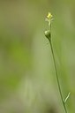 BUITEN BEELD Foto: 167666