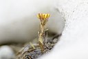 BUITEN BEELD Foto: 167685