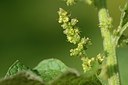 BUITEN BEELD Foto: 167695