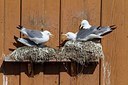 BUITEN BEELD Foto: 167810