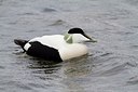 BUITEN BEELD Foto: 167812