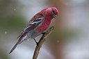 BUITEN BEELD Foto: 167823