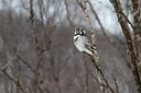 BUITEN BEELD Foto: 167839
