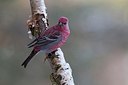 BUITEN BEELD Foto: 167840
