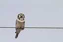BUITEN BEELD Foto: 167849