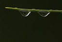 BUITEN BEELD Foto: 167935