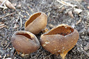BUITEN BEELD Foto: 167980