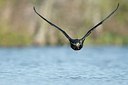BUITEN BEELD Foto: 167986