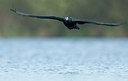 BUITEN BEELD Foto: 167988