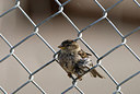 BUITEN BEELD Foto: 167991