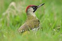 BUITEN BEELD Foto: 167996