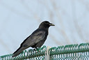 BUITEN BEELD Foto: 168000