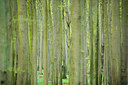 BUITEN BEELD Foto: 168092