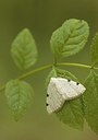 BUITEN BEELD Foto: 168173