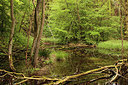 BUITEN BEELD Foto: 168188